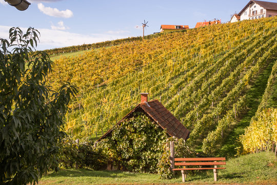 Exploring Images Browse 1 162 583 Stock Photos Vectors And Video Exploring Images Browse 1 162 583 Stock Photos Vectors And Video