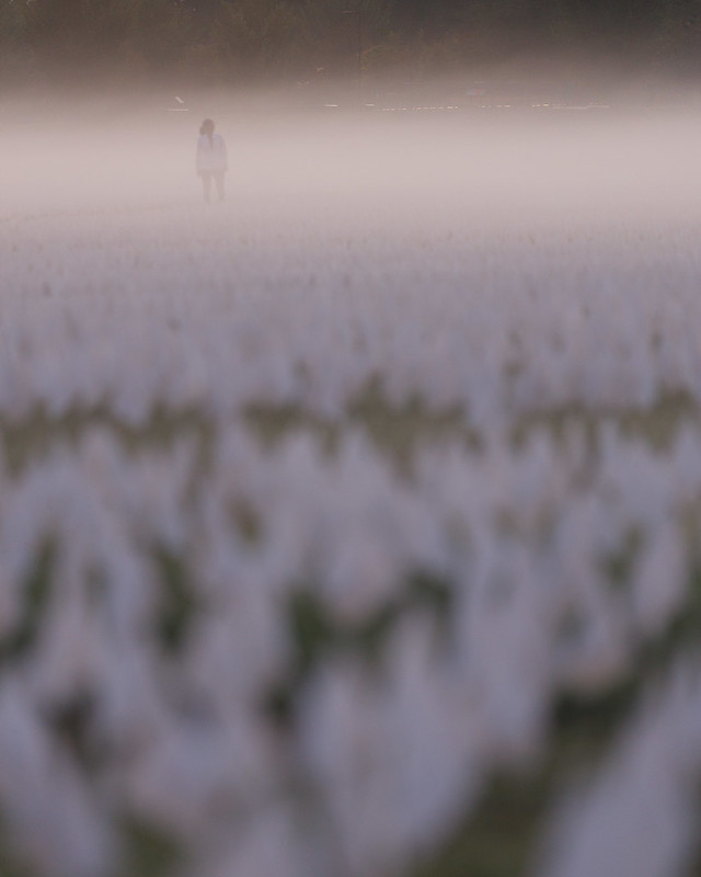 Fia S Fabulous Finds Nearly New Designer Clothing Boutique Coming To Fia S Fabulous Finds Nearly New Designer Clothing Boutique Coming To