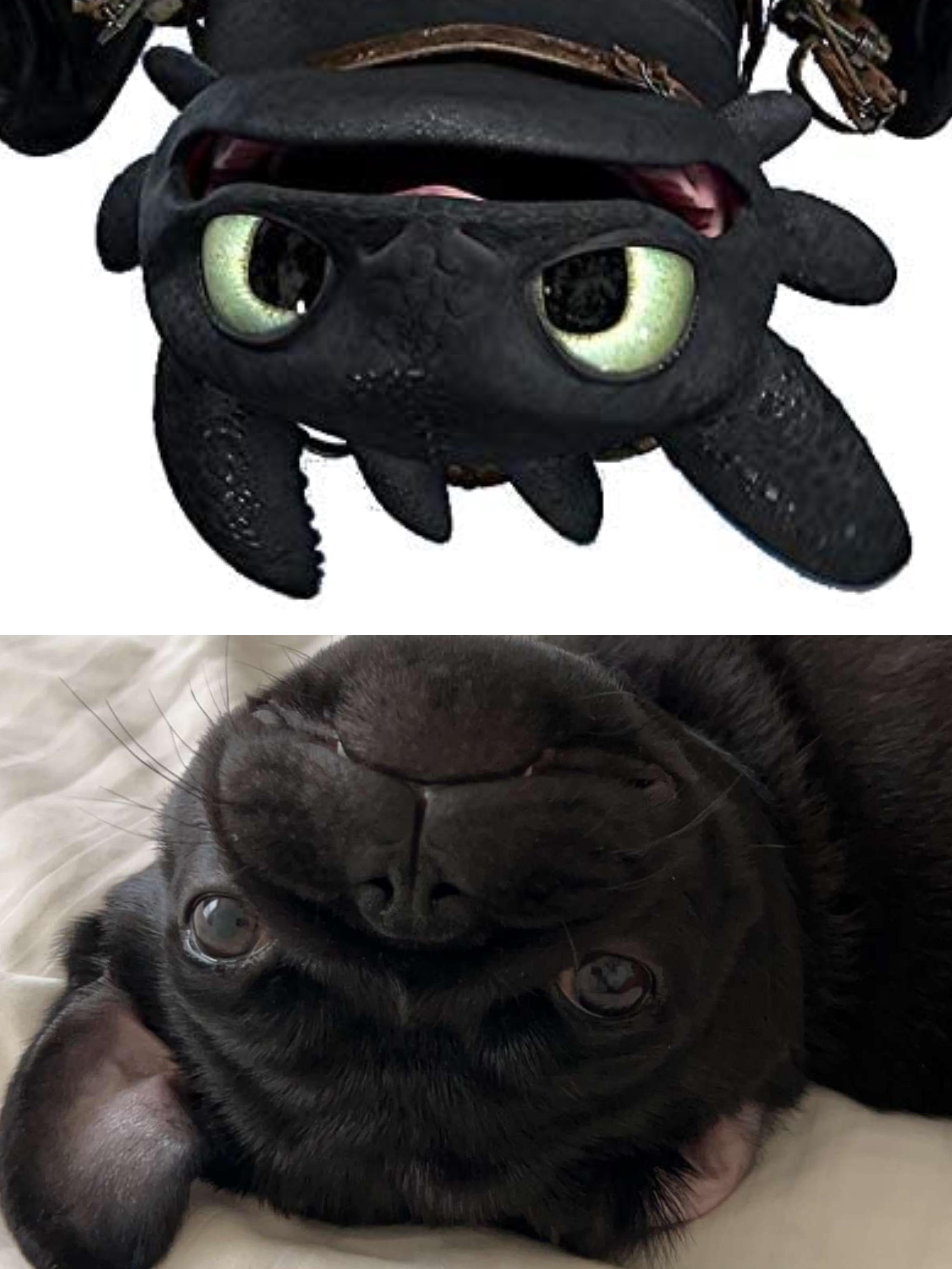 The Leaked Secrets of Lyla.fit's OnlyFans