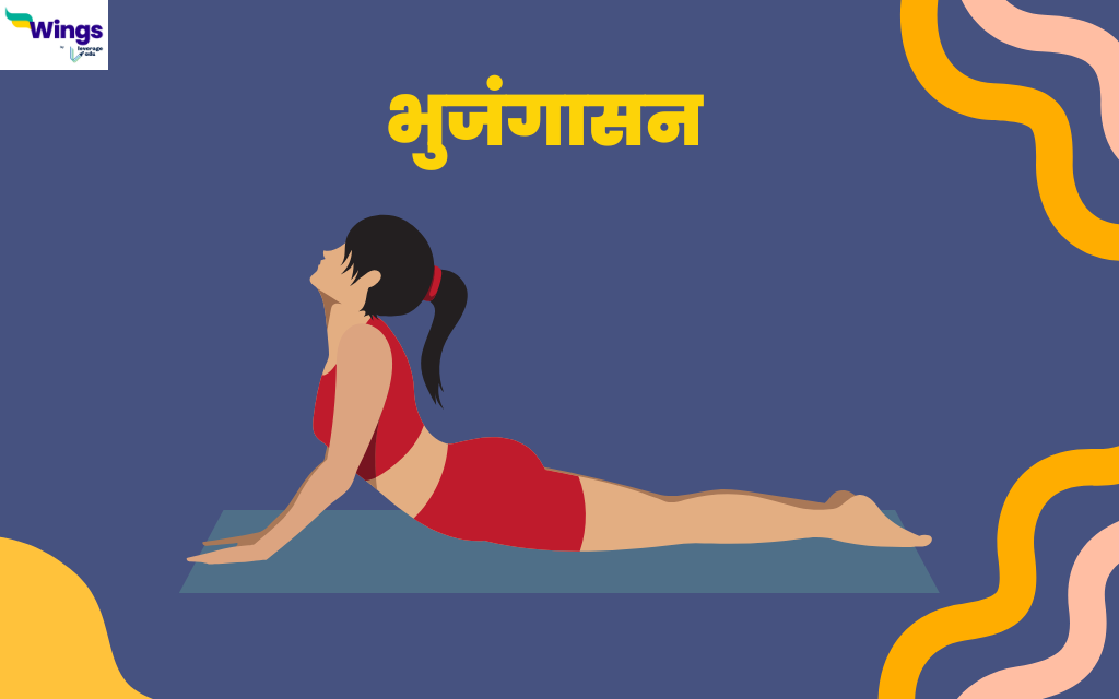 The Ultimate Guide to Hindi Porn.